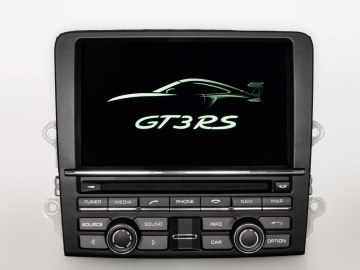 991 Displayfehler PCM 3.1
