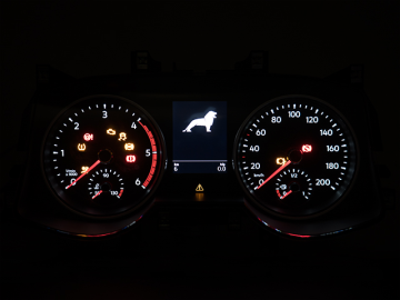 TGE Lighting failure instrument cluster